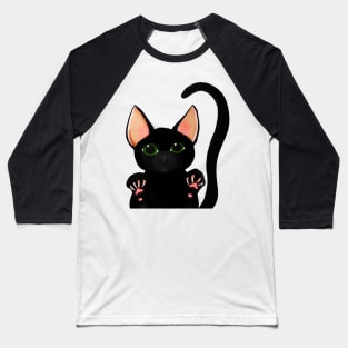 Murder Mittens Baseball T-Shirt